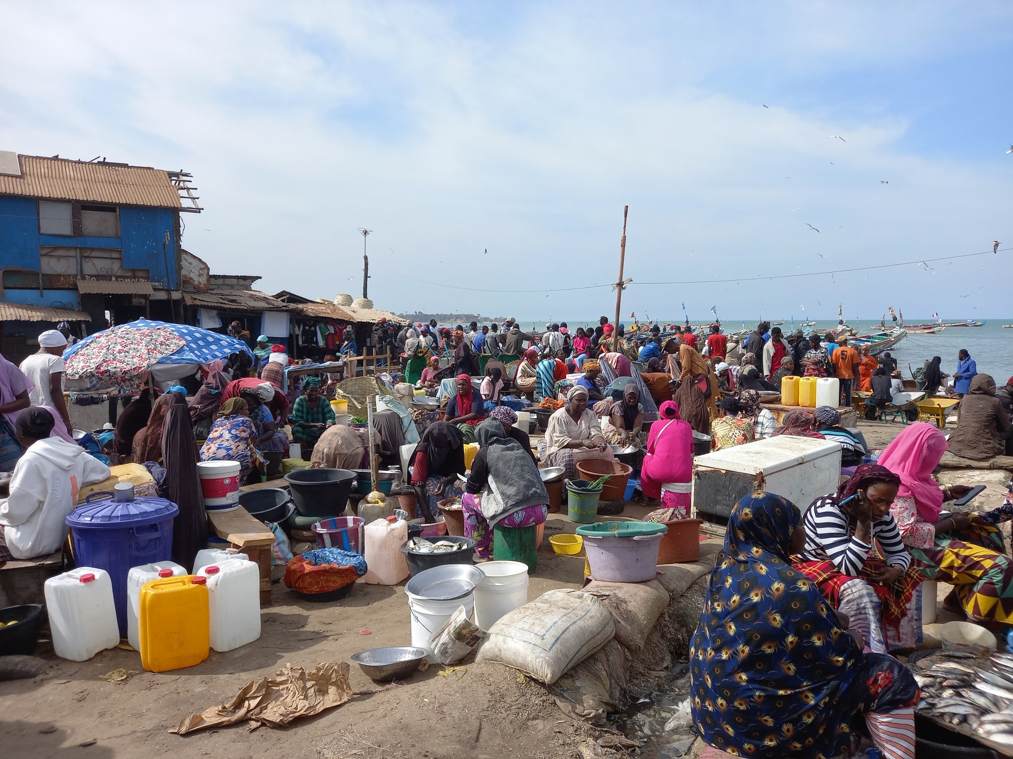 Forrás: Fenyvesi Csaba