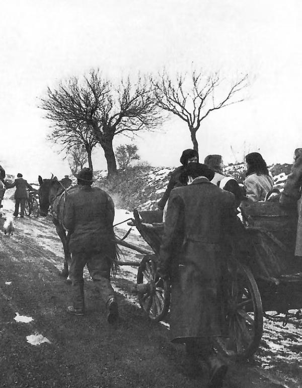 Forrás: https://www.vipach.at/