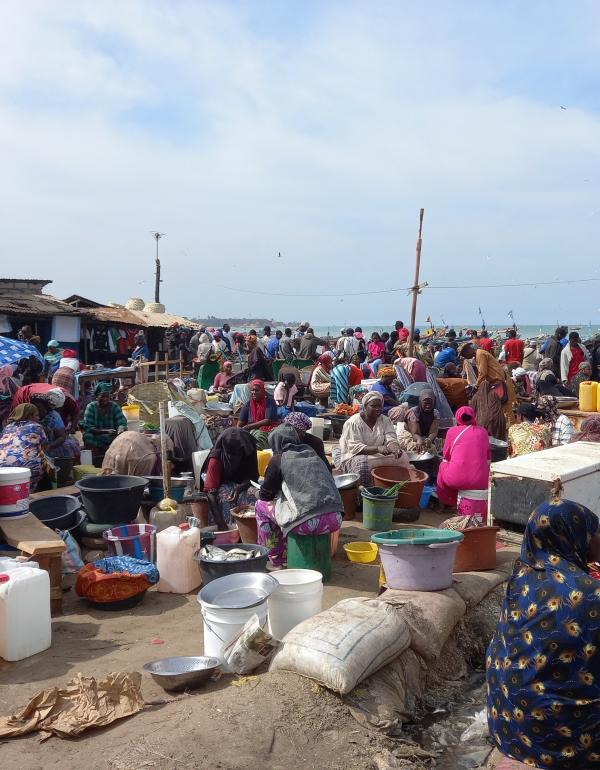 Forrás: Fenyvesi Csaba