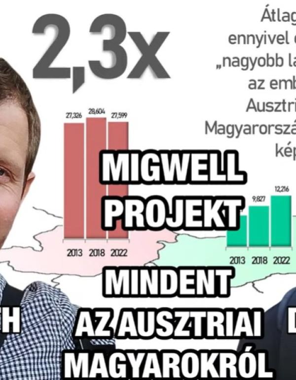 diaszporamedia - MIGWELL projekt borító